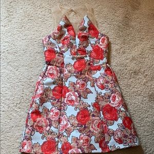 Topshop Floral Jacquard Illusion Dress